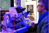 CoolLED LED illumination systems – As seen on TV!