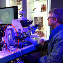 CoolLED LED illumination systems – As seen on TV!