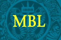 CoolLED are proud supporters of the MBL Summer Educational Program