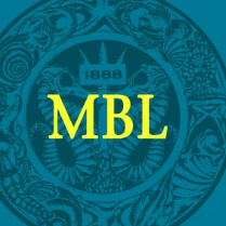 CoolLED are proud supporters of the MBL Summer Educational Program