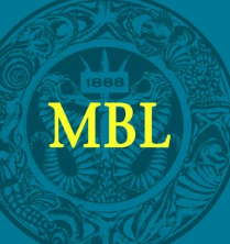 CoolLED are proud supporters of the MBL Summer Educational Program