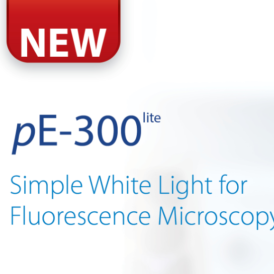 Fluorescence microscopy illumination can be simple with the NEW pE-300lite