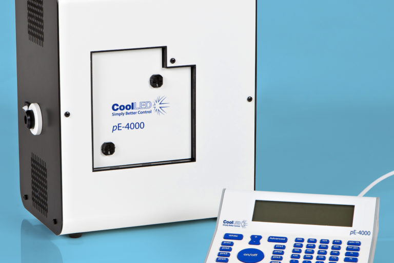 Newsletter: Self-organized centripetal movement of corneal epithelium in the absence of external cues