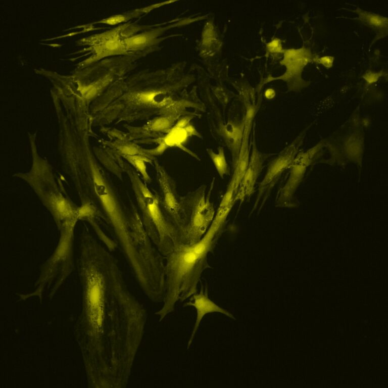 CoolLED pE-340fura is on the way.