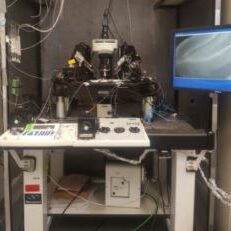 New App Note: Epifluorescence Imaging and Optogenetic Stimulation for In-vitro Electrophysiology