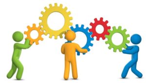 Meet the New Members of the Team