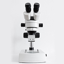 The C9orf72 protein interacts with Rab1a and the ULK1 complex to regulate initiation of autophagy