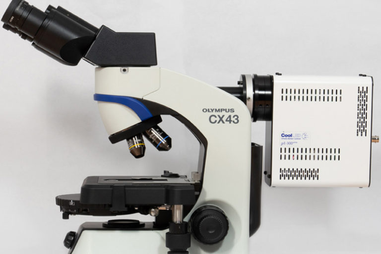 Multi-channel fluorescence has never been so affordable