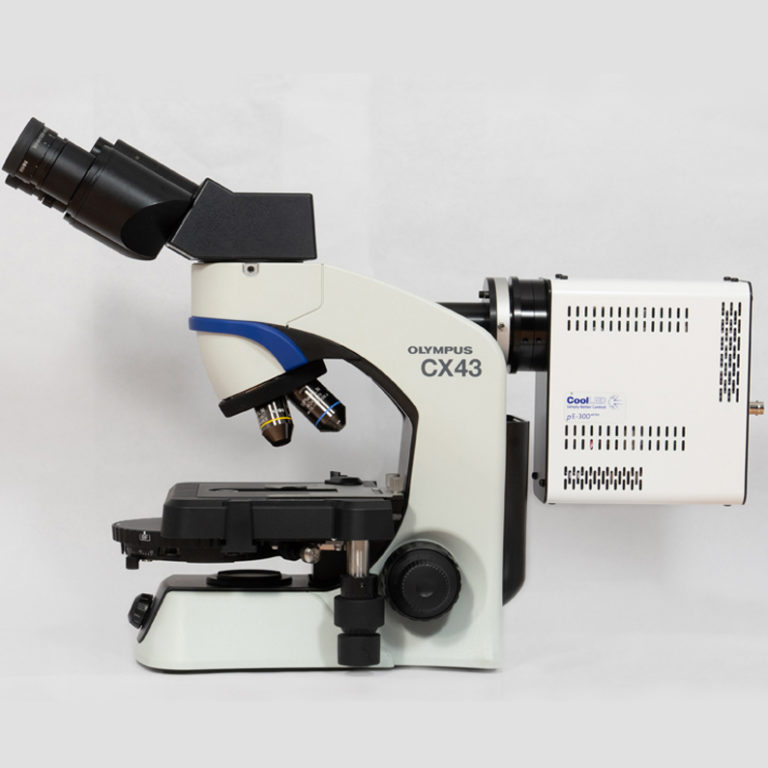 Multi-channel fluorescence has never been so affordable