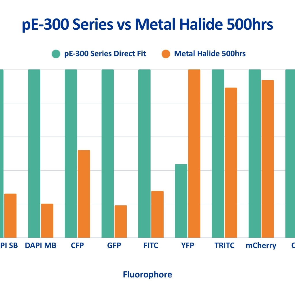 pE 300 vs MH 500 hours (blue writing)