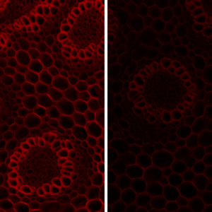 Getting the best out of your LEDs