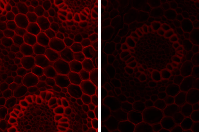 New white paper: How to boost irradiance