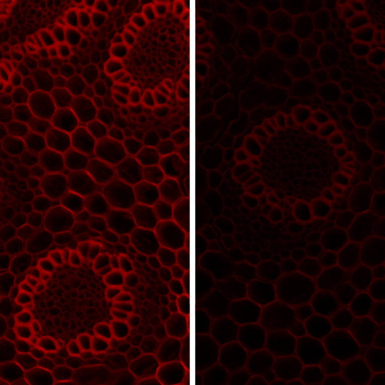 New white paper: How to boost irradiance