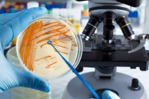 New App Note: Improving microbiological testing in a diagnostic laboratory