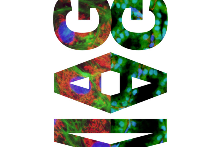 Vote for your favourite image!