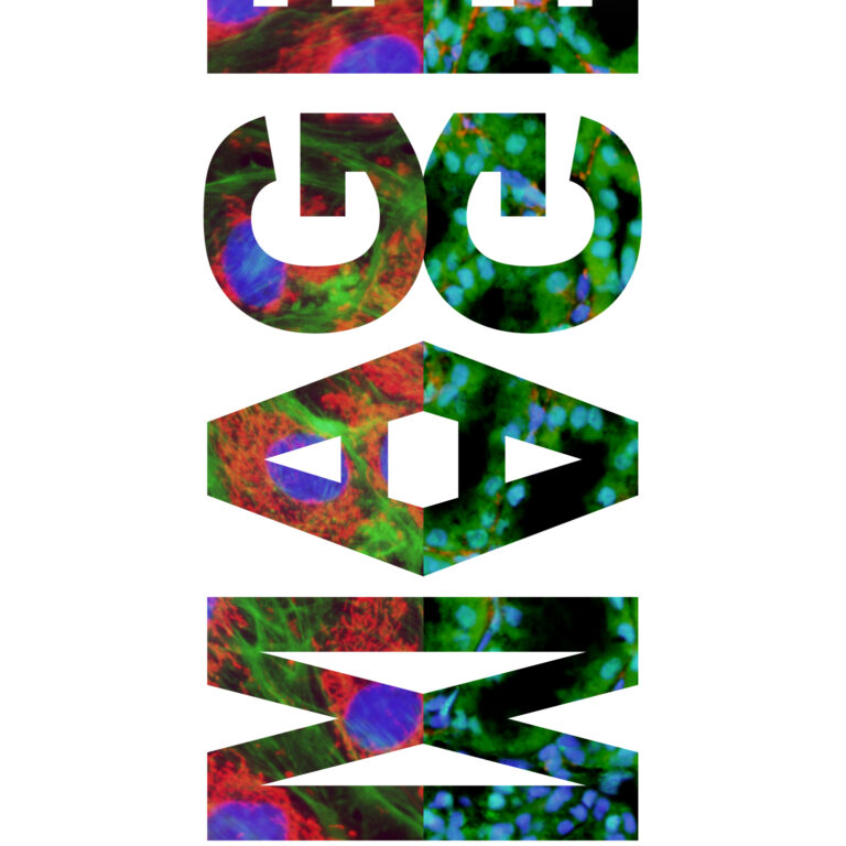 Vote for your favourite image!