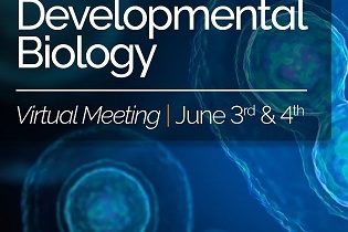 Free Andor conference