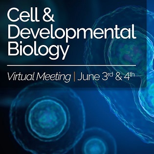 Free Andor conference