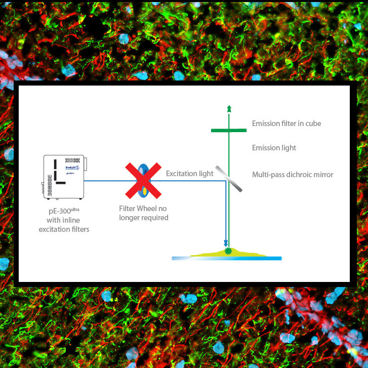 Capturing high-speed multi-labelled events with LED microscope illumination systems