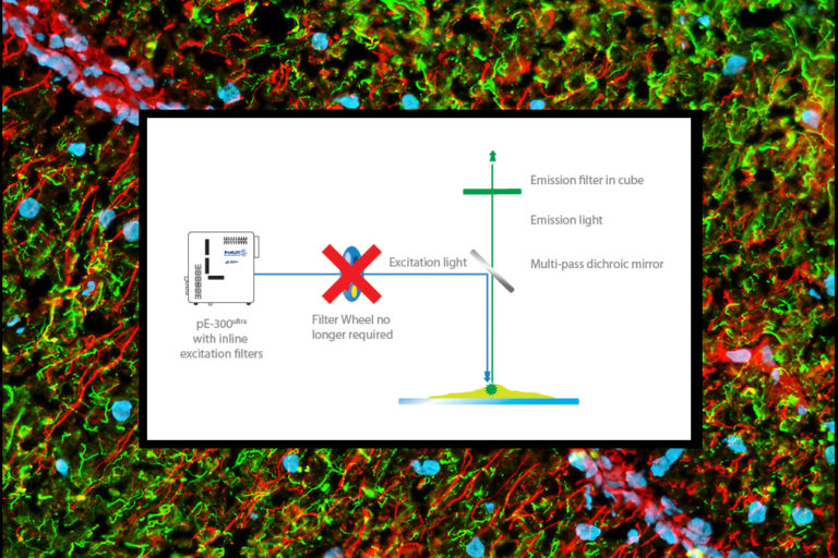 Capturing high-speed multi-labelled events with LED microscope illumination systems