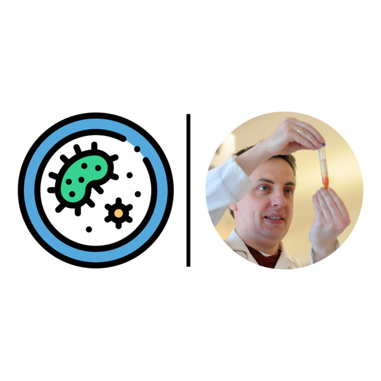 Understanding DNA replication dynamics in <i>E. coli</i>