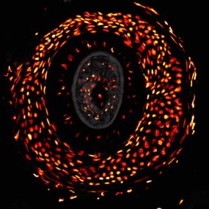 Discovering the ‘Eye of Sauron’, high-speed imaging & more