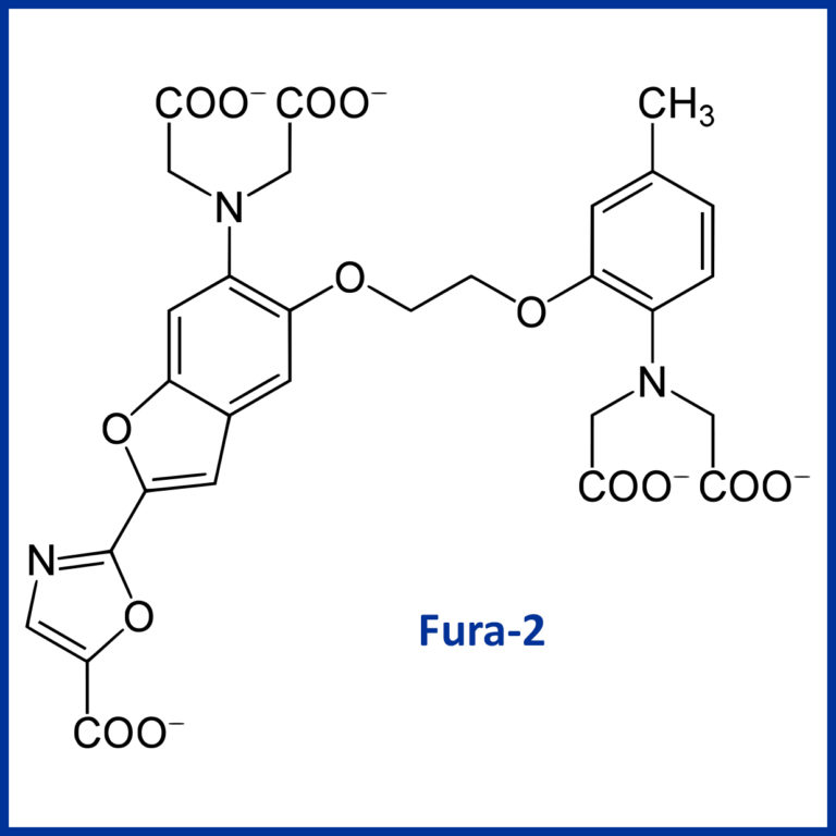 Calcium Imaging Light Source Technology