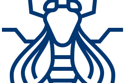Enhancing Drosophila Research With LED IIlumination