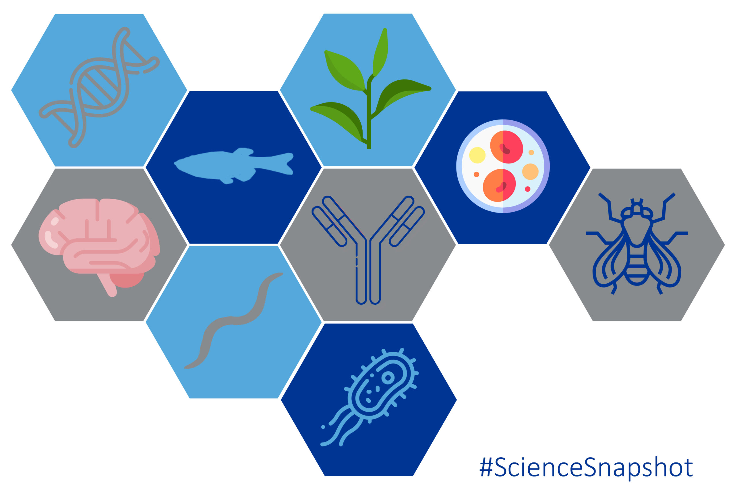 Science Snapshot Science Snapshot