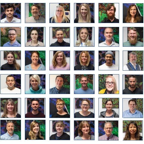 Welcome to Our New Starters