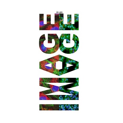 Vote for Your Favourite Image in an Image!