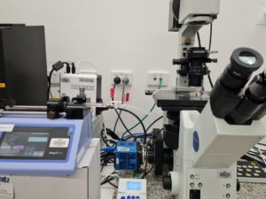 Microfluidic device setup