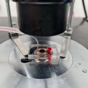 microfluidic device close up sq