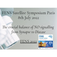 FENS Satellite Symposium