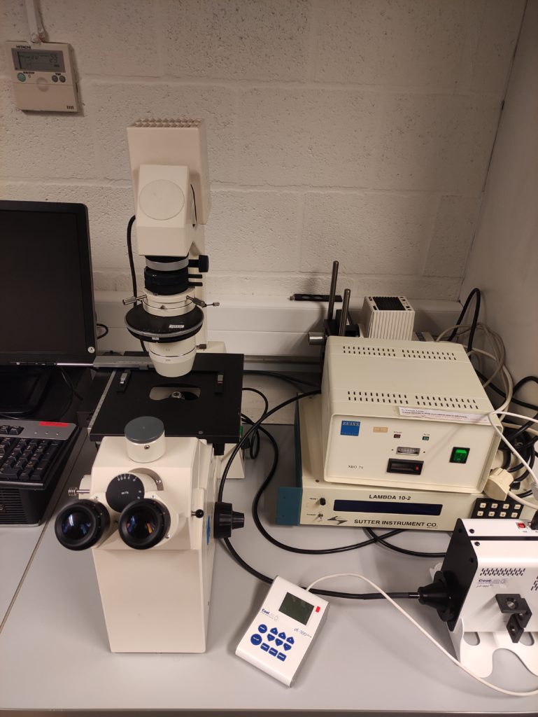 Microscopy setup at the Advanced Optical Microscopy Centre Biomedical Research Institute of the Hasselt University with Zeiss AxioVert and CoolLED pE-300ultra
