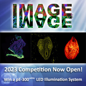 Want to win an LED Illumination System?