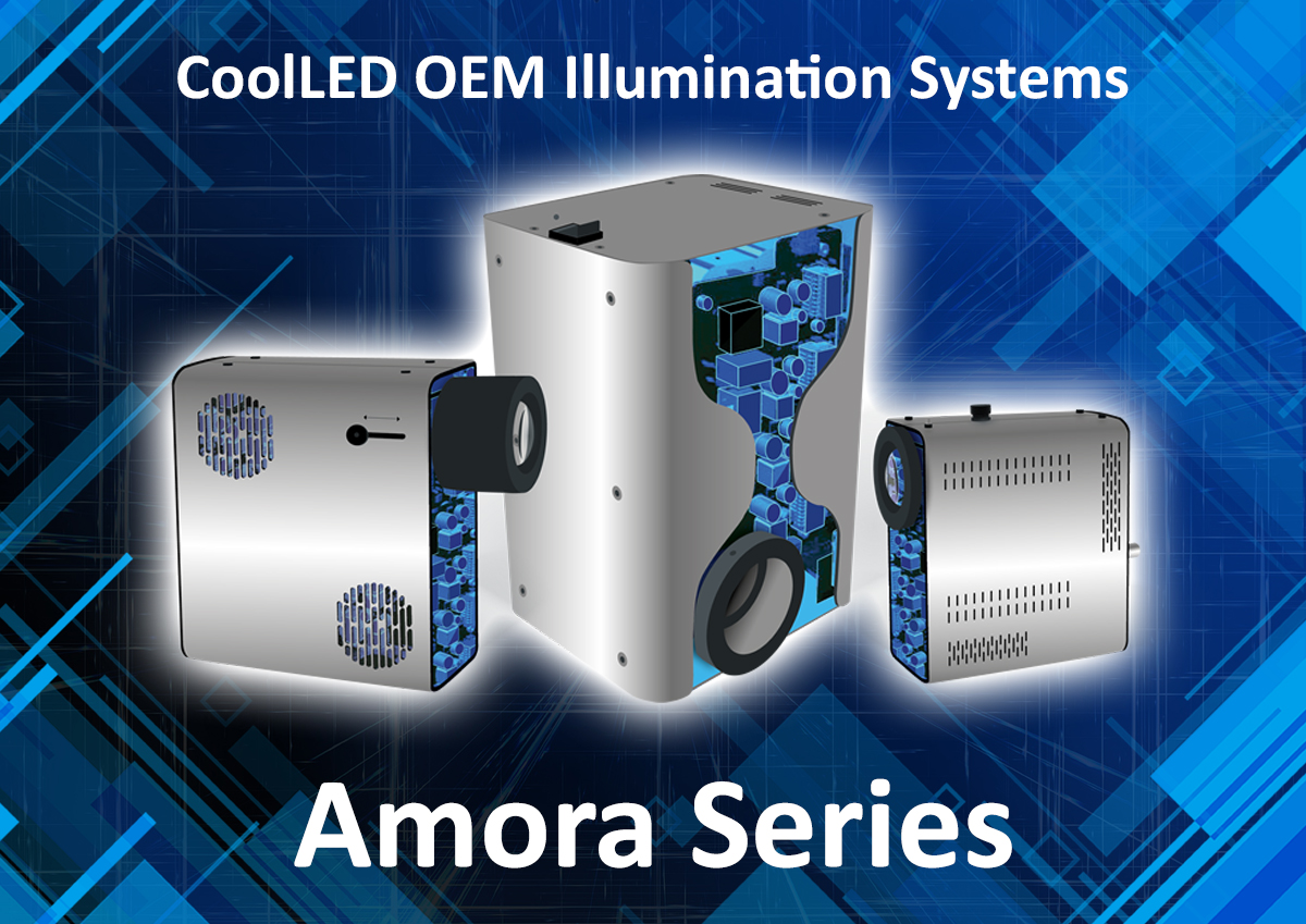 Amora series family