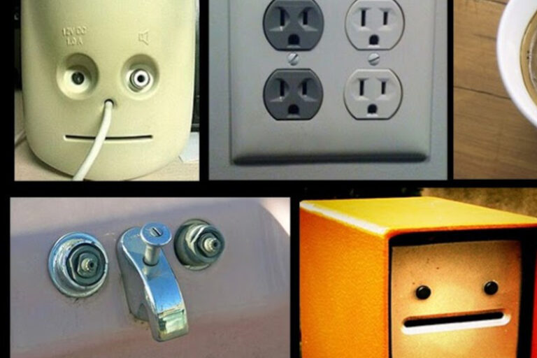 Fluorescence Microscopy meets Pareidolia