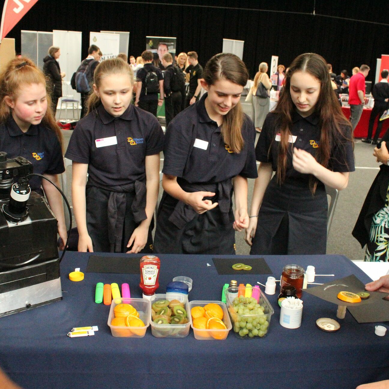 64731257 2136910763101589 5699175014834634752 o