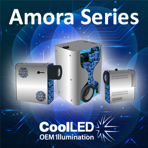 Amora Series 300x300