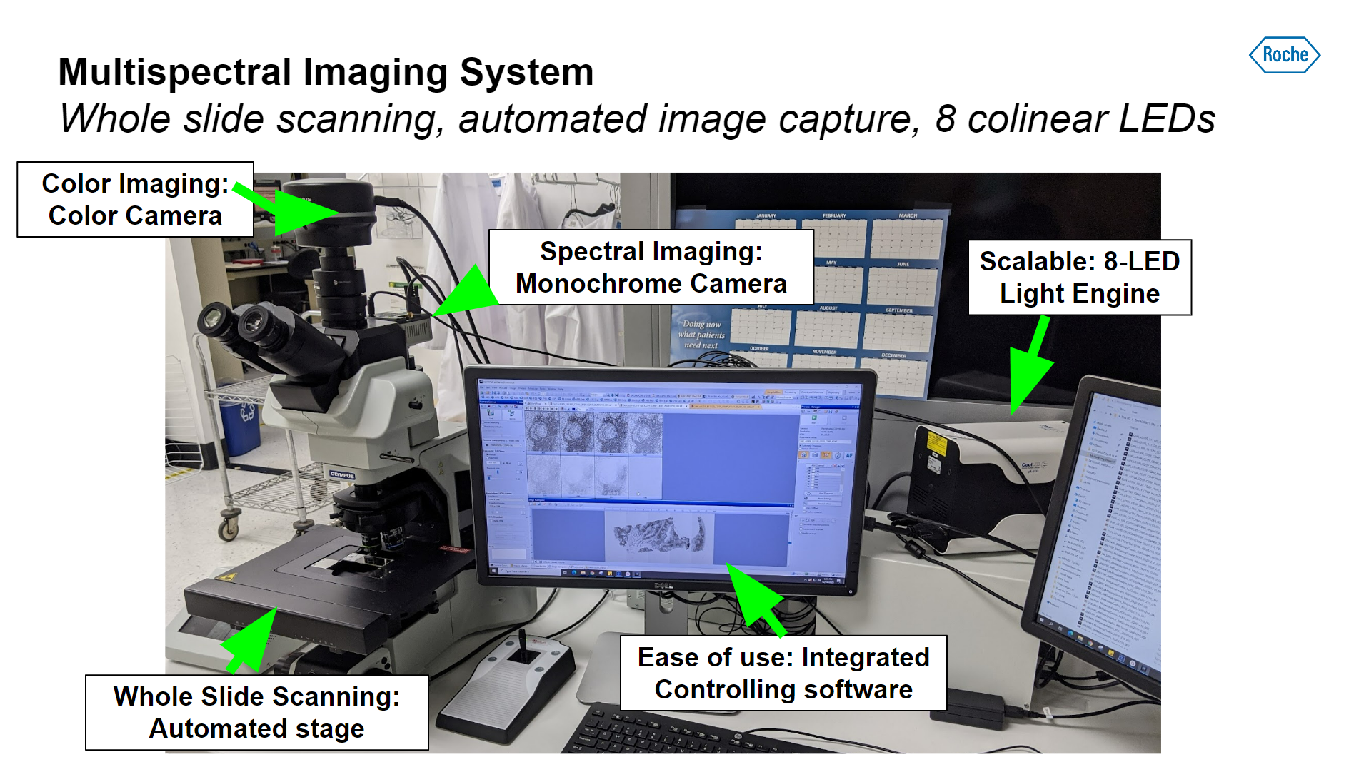 FLASH experimental setup