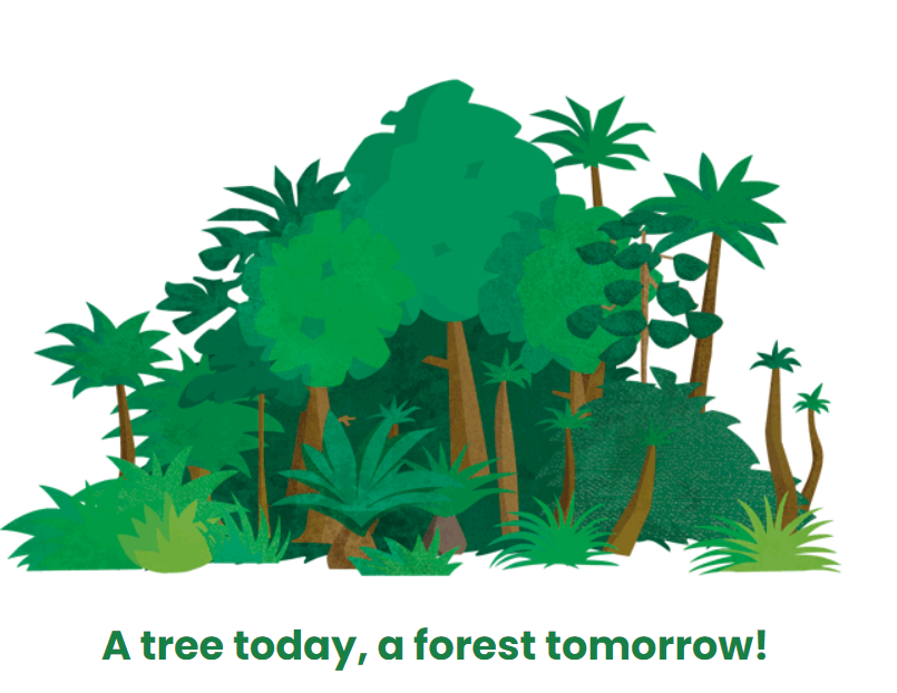 WLT tree planting WLT tree planting