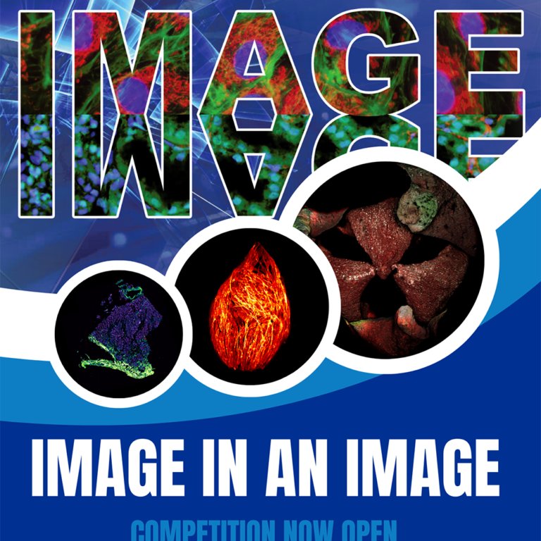 Image in an Image Competition 2024 – Official Launch