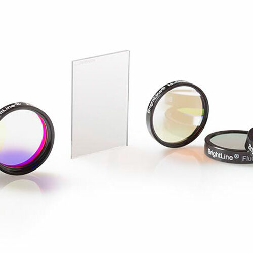 The Importance of Optical Filters in Fluorescence Microscopy