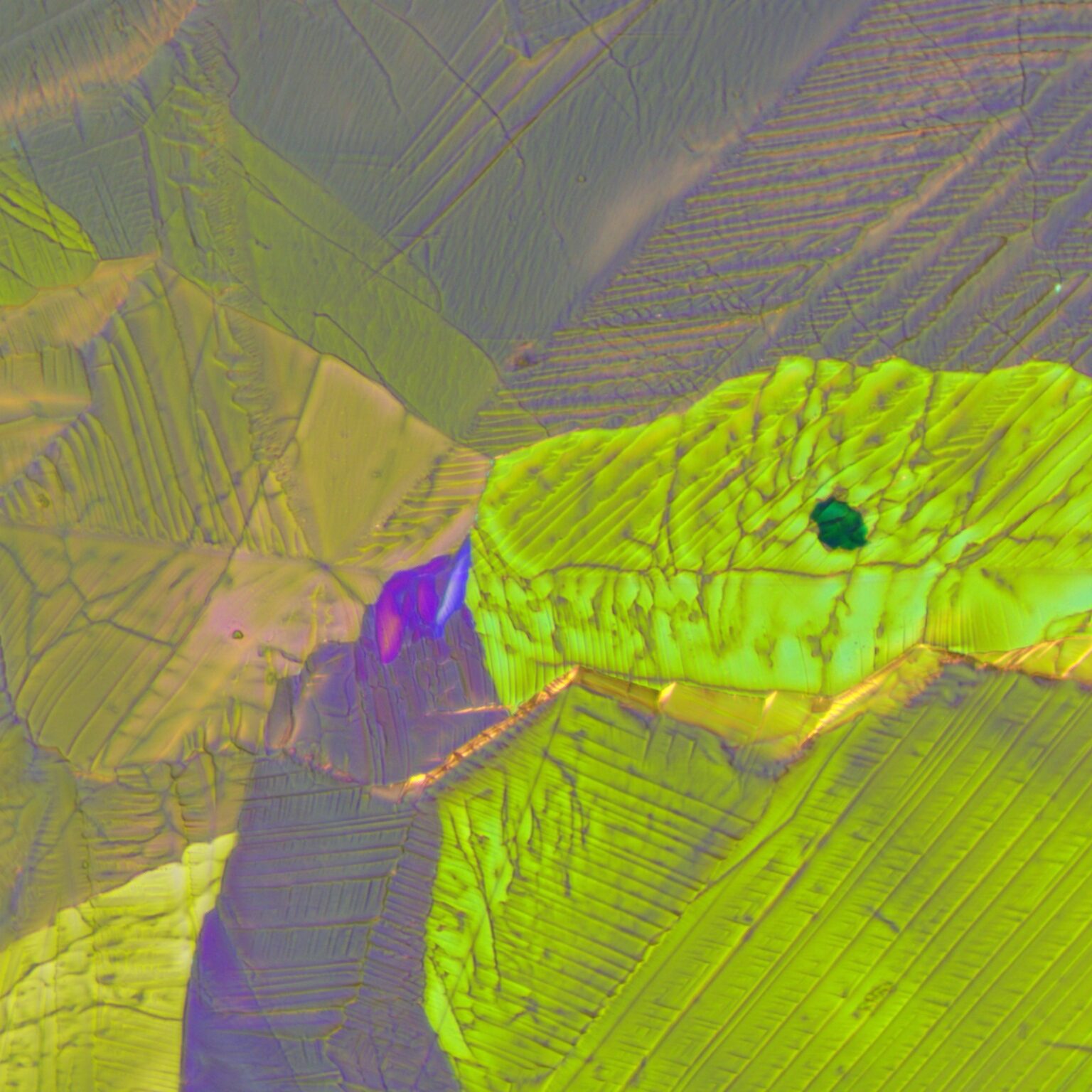 Joop de Wolde Snake Alert