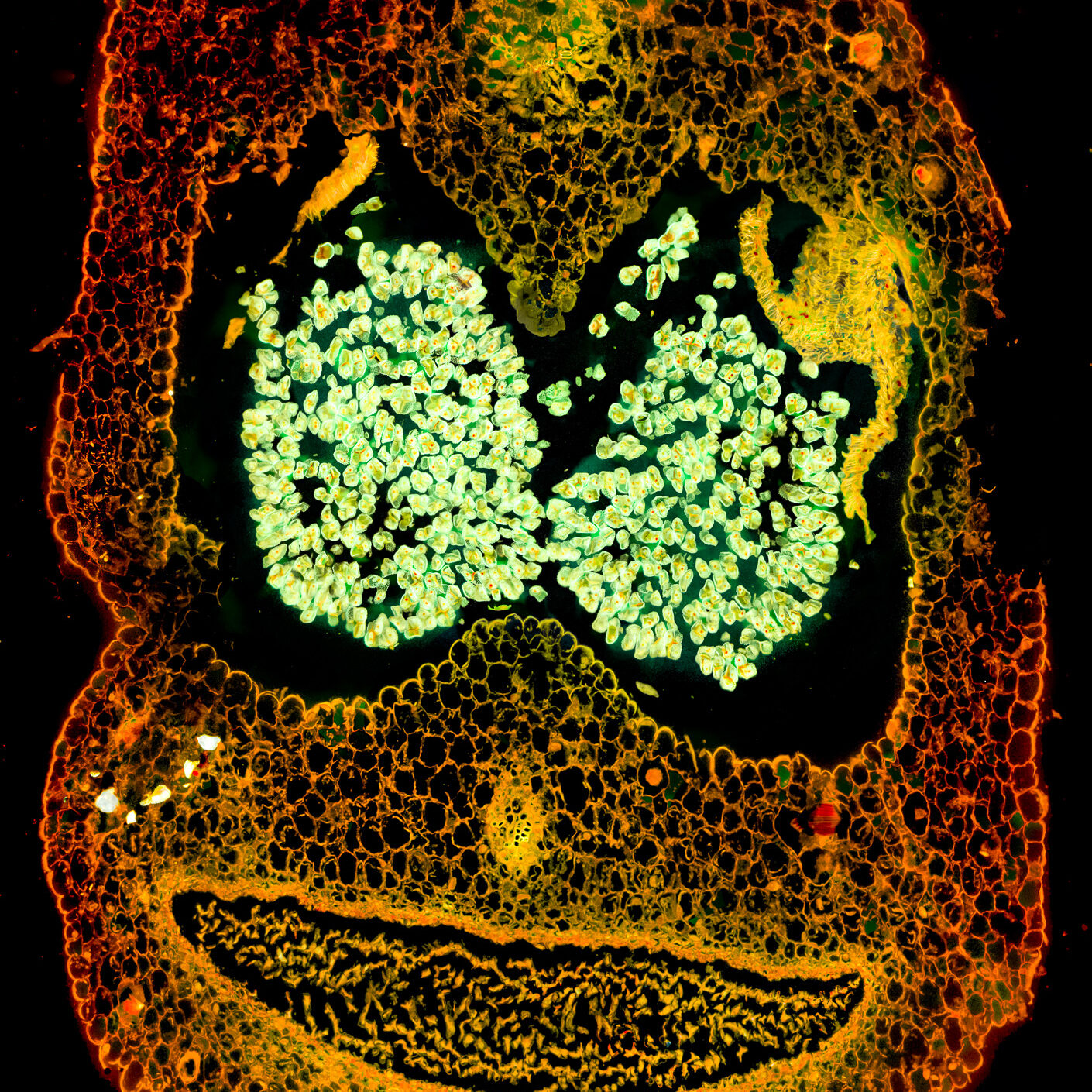 José Manuel Martínez López Casper