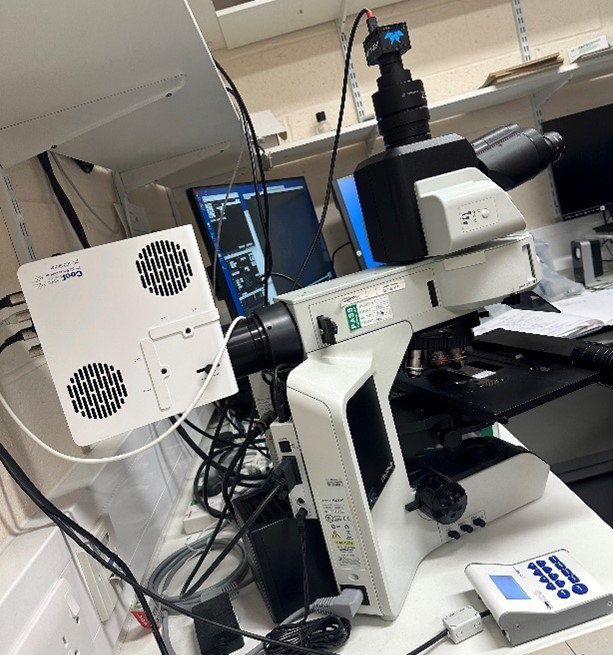 CoolLED pE-400max on the Evident BX53 microscope CoolLED pE-400max on the Evident BX53 microscope