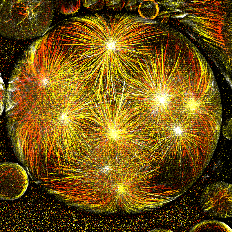Ursa Ursic Micro Fireworks in a crystal ball