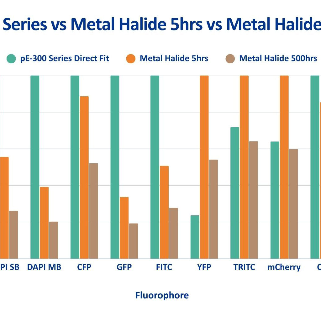 pE 300 vs MH 500 hours and MH 5hrs (blue writing)
