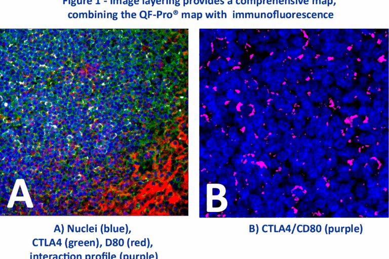 Successful Spatial Biology OEM Partnership